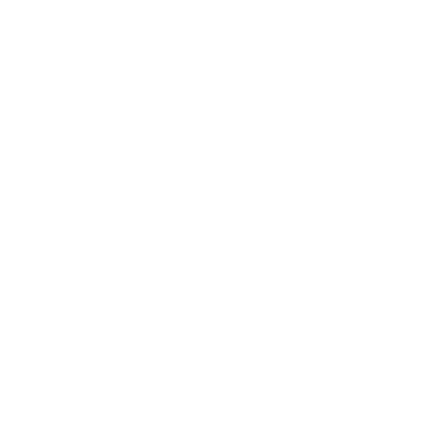 Software Development